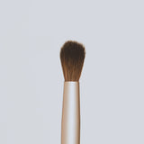 Detail Brush